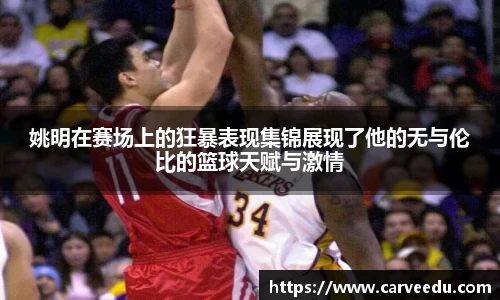 bsports.必一体育官网