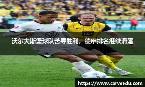 bsports.必一体育官网