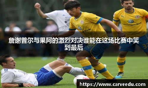 bsports.必一体育官网